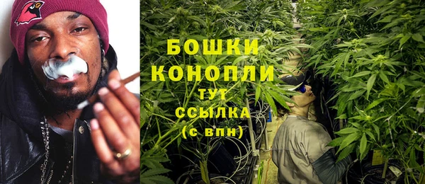 прущие грибы Гусев