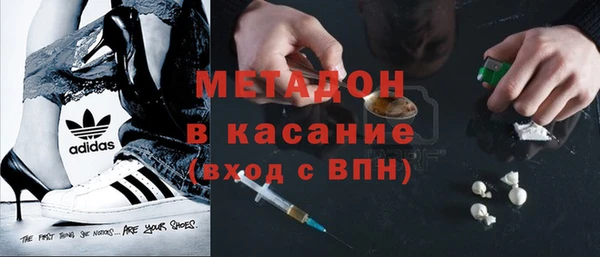 прущие грибы Гусев