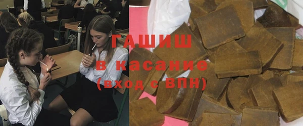 прущие грибы Гусев