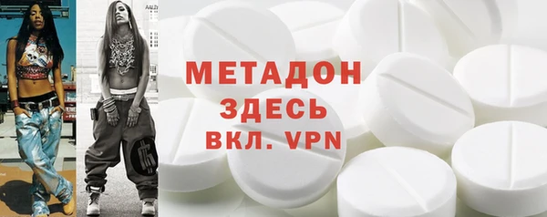 прущие грибы Гусев