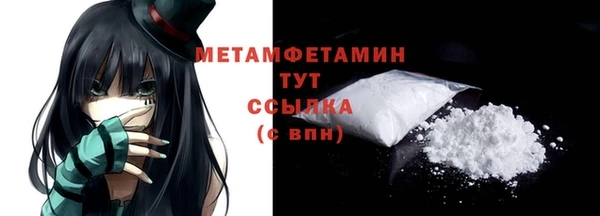 прущие грибы Гусев