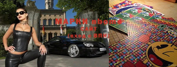 прущие грибы Гусев