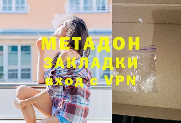 прущие грибы Гусев