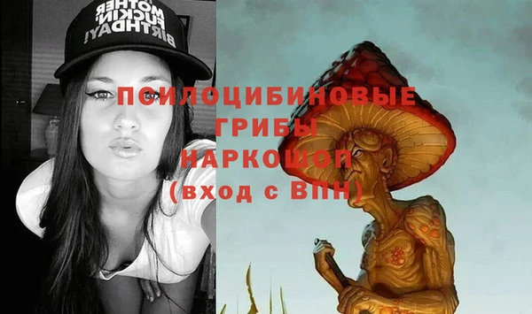 прущие грибы Гусев