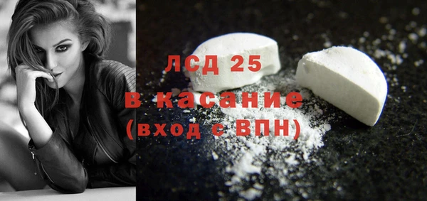 прущие грибы Гусев