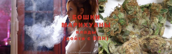 прущие грибы Гусев