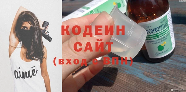 прущие грибы Гусев