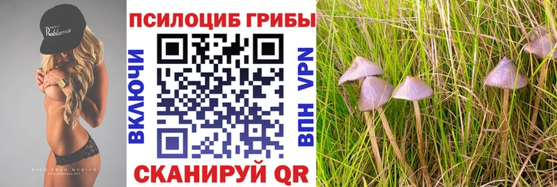 Купить где  Отрадное  Псилоцибиновые грибы ЛСД 